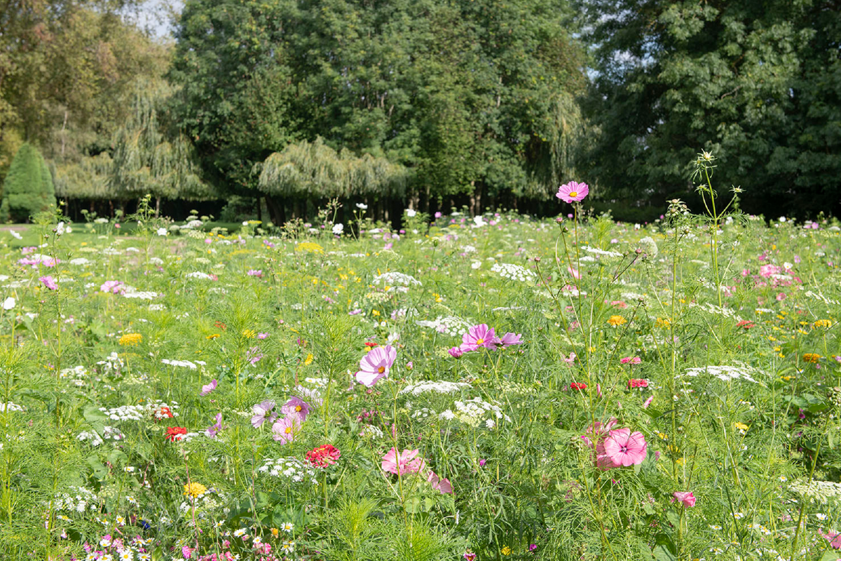 Sustainable events in Swindon.